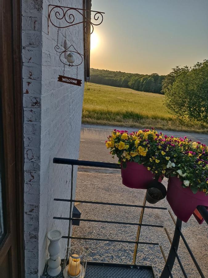 Gite Ferme D'Hurtaux Froid-Chapelle Eksteriør billede